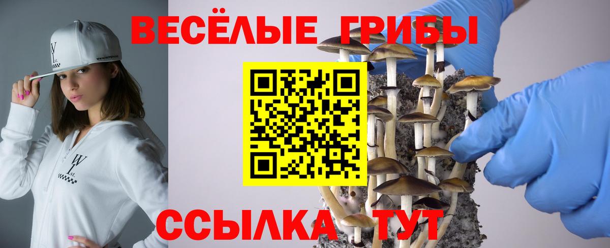 Галлюциногенные грибы Magic Shrooms Азнакаево