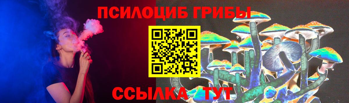Азнакаево  Псилоцибиновые грибы Psilocybine cubensis  Вход с VPN 